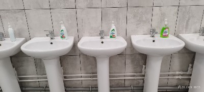 �����������