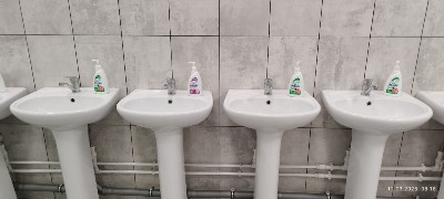 �����������